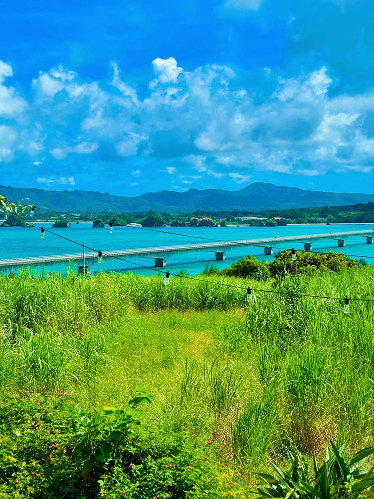 古宇利島　おすすめ　レストラン