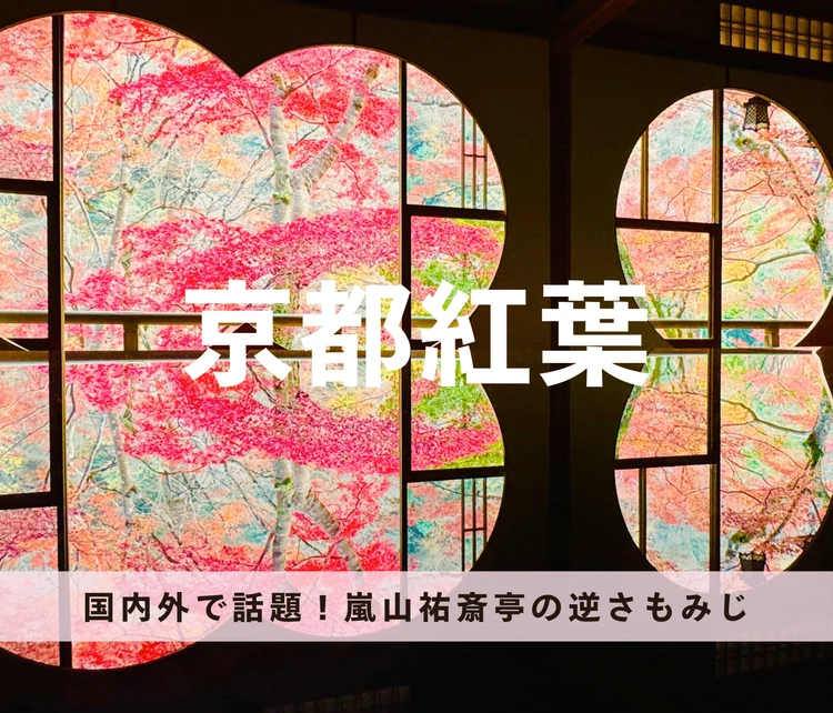 【写真】バイラーズおすすめの京都旅行_0