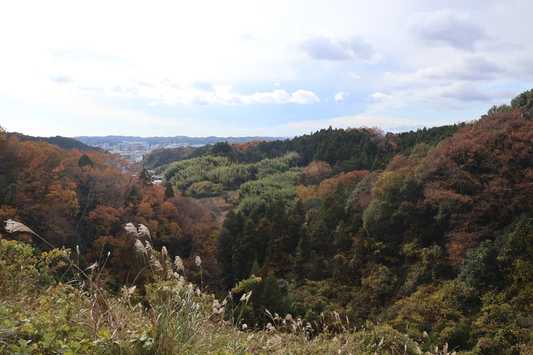 【登山デビューしました】福島・絹谷富士で紅葉と海を望むパノラマ絶景を楽しむ【ゆるく低山から第一歩】_3