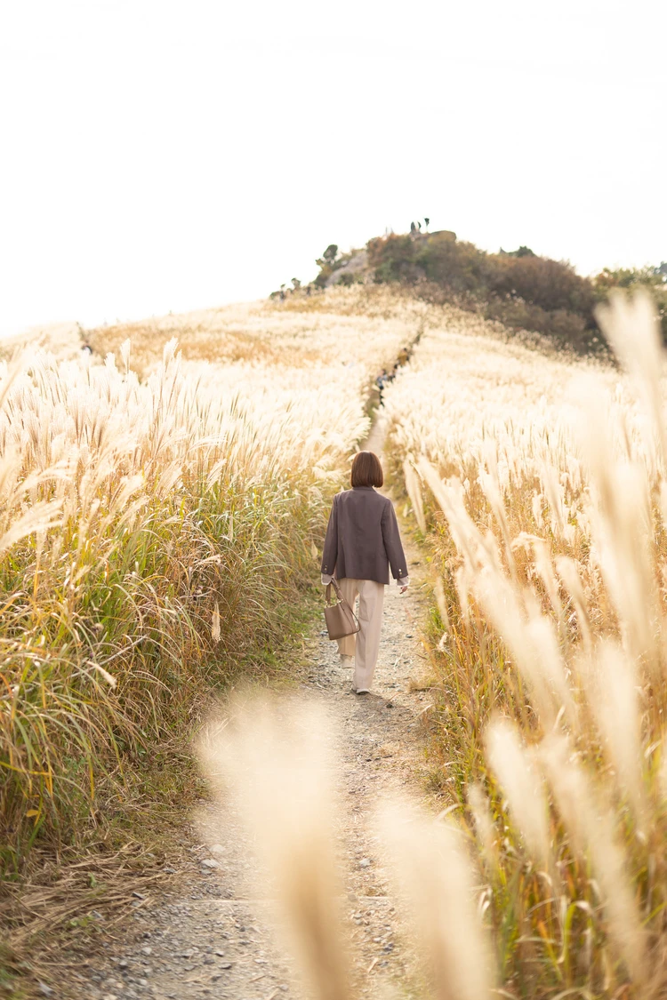 レンズ越しに出会った、心に残る一枚　#カメラ部_3_1