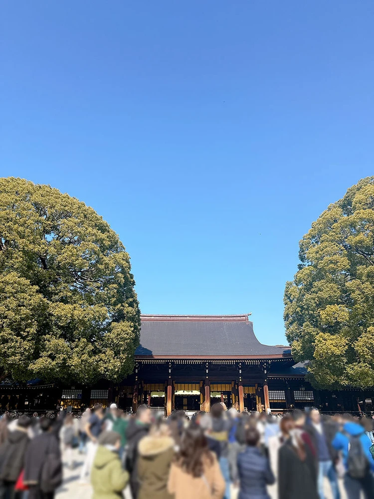 【明治神宮】深い森で心のリセット。参拝後の代々木公園散歩_2