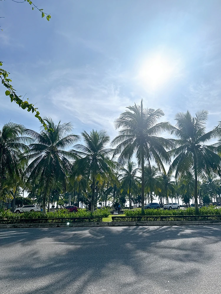 【ダナン】朝の一杯が特別になる場所。ダナンの洗練カフェ_1