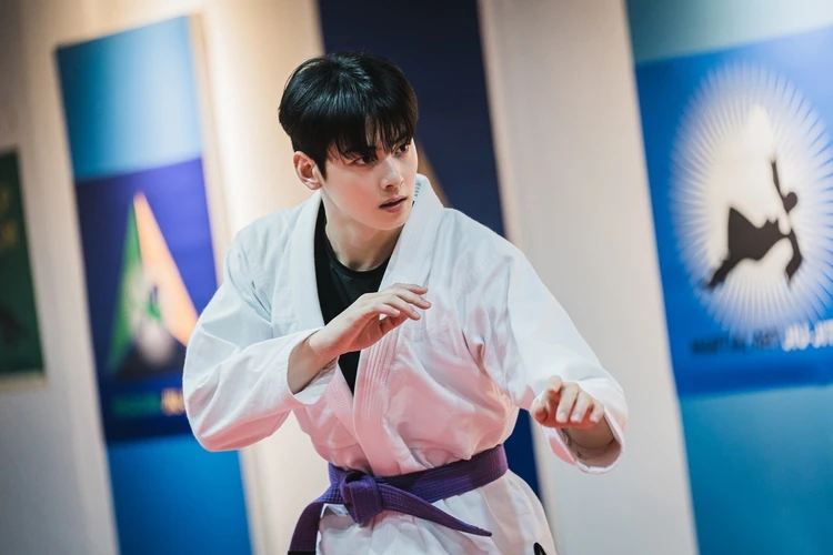 女神降臨　主演　チャウヌ