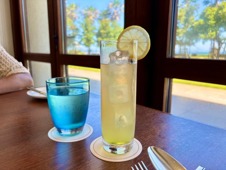 都内から日帰りでも!大磯ロングビーチ&大磯プリンスホテルで楽しむ夏の満喫コース|子連れにもぴったり_10