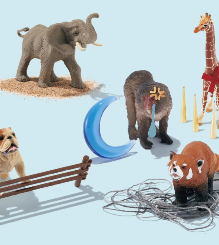 【敏感肌タイプ別チャート診断】あなたの「敏感肌症状」はどこから？