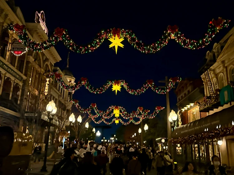 ディズニーシー　クリスマスイルミネーションの飾り付け