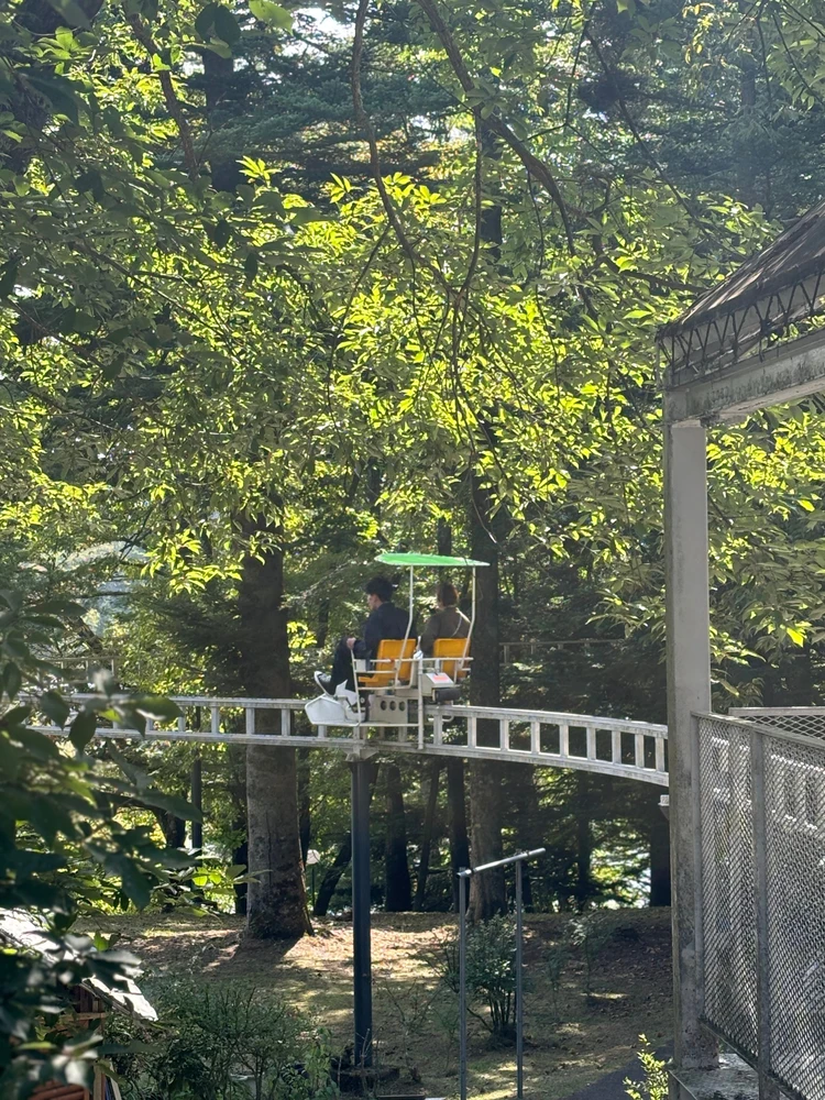 【軽井沢】自然の中で遊ぶ贅沢。軽井沢タリアセンでのんびりもアクティブにも。_8