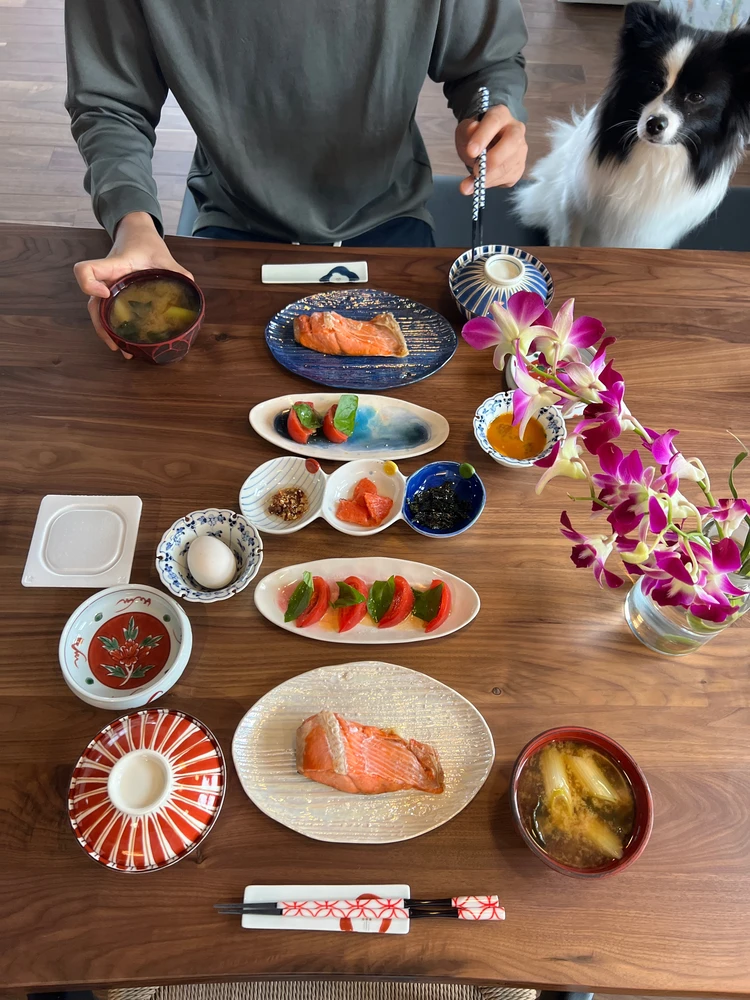 【うつわオタクが語る】こだわりの器ご紹介#おうち部_5_1