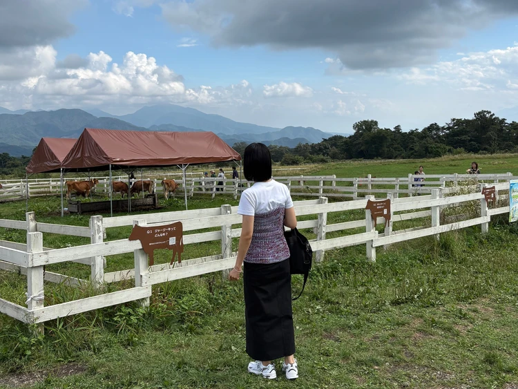 【山梨・八ヶ岳】日帰りモデルコース｜東京から2時間、清泉寮・道の駅で八ヶ岳グルメと自然を楽しむ_7_1