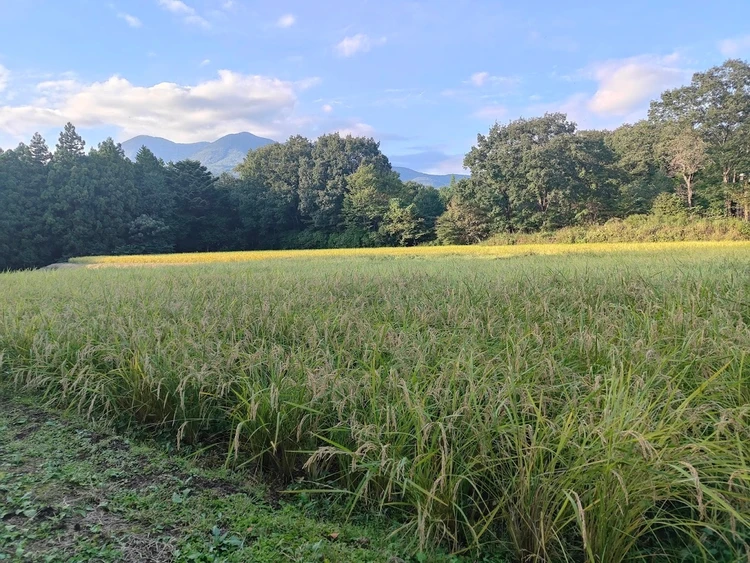 リゾナーレ那須　YATAI to FARM