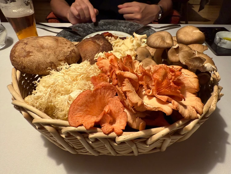 山の水農場のきのこ