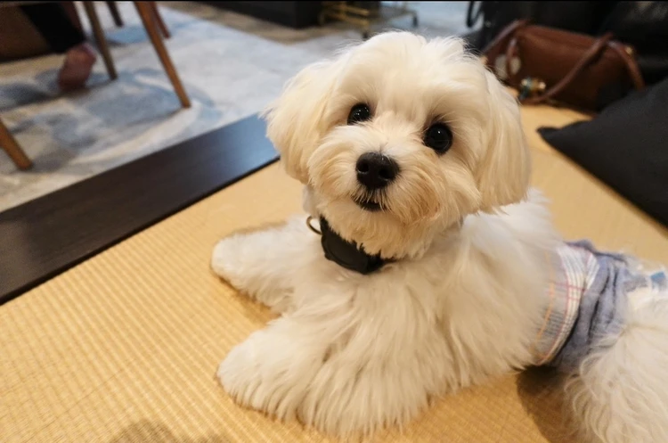 【自己紹介】朝日サオリと申します。よろしくお願いします！_2