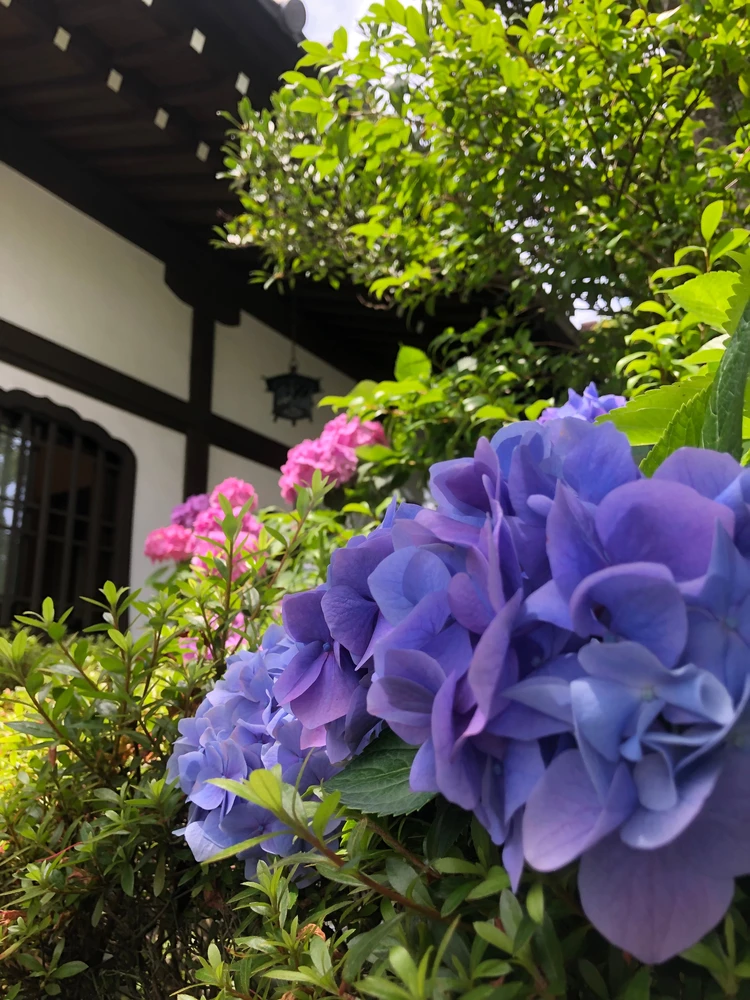 【夏の鎌倉】浴衣コーデで楽しむ!日帰りおすすめモデルプラン♡_7_1