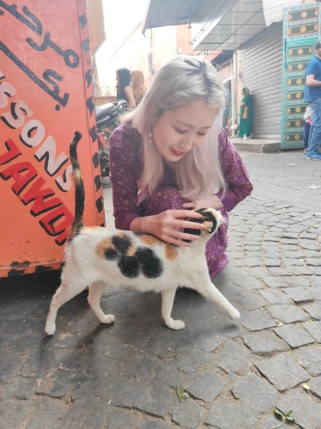 ハイトーン　ホワイトブロンド　ヘアカラー