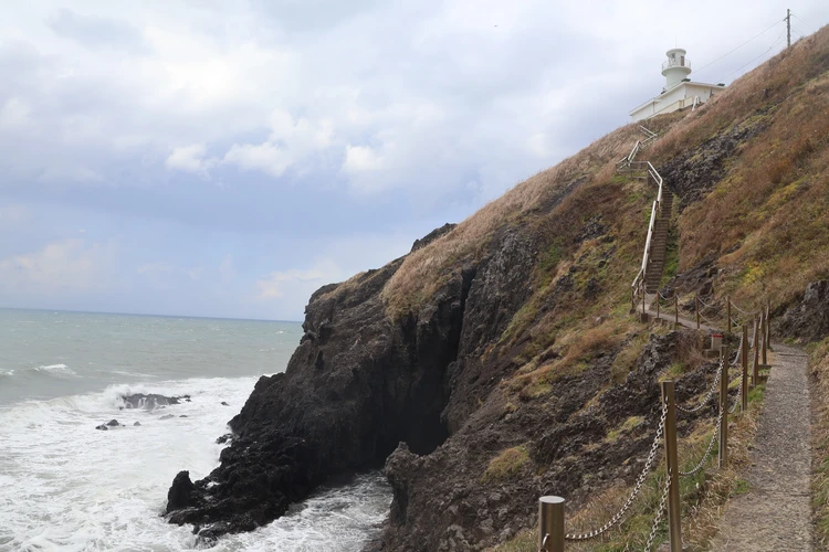 【新潟】登山口はまさかの海!? 角田山で標高0mから"青すぎる"登山【登山日記】_2