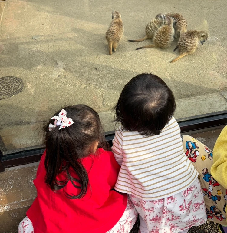 【子連れ完全ガイド】よこはま動物園ズーラシアレポ｜0歳・2歳でも1日楽しめる！広すぎる動物園のリアル体験_1