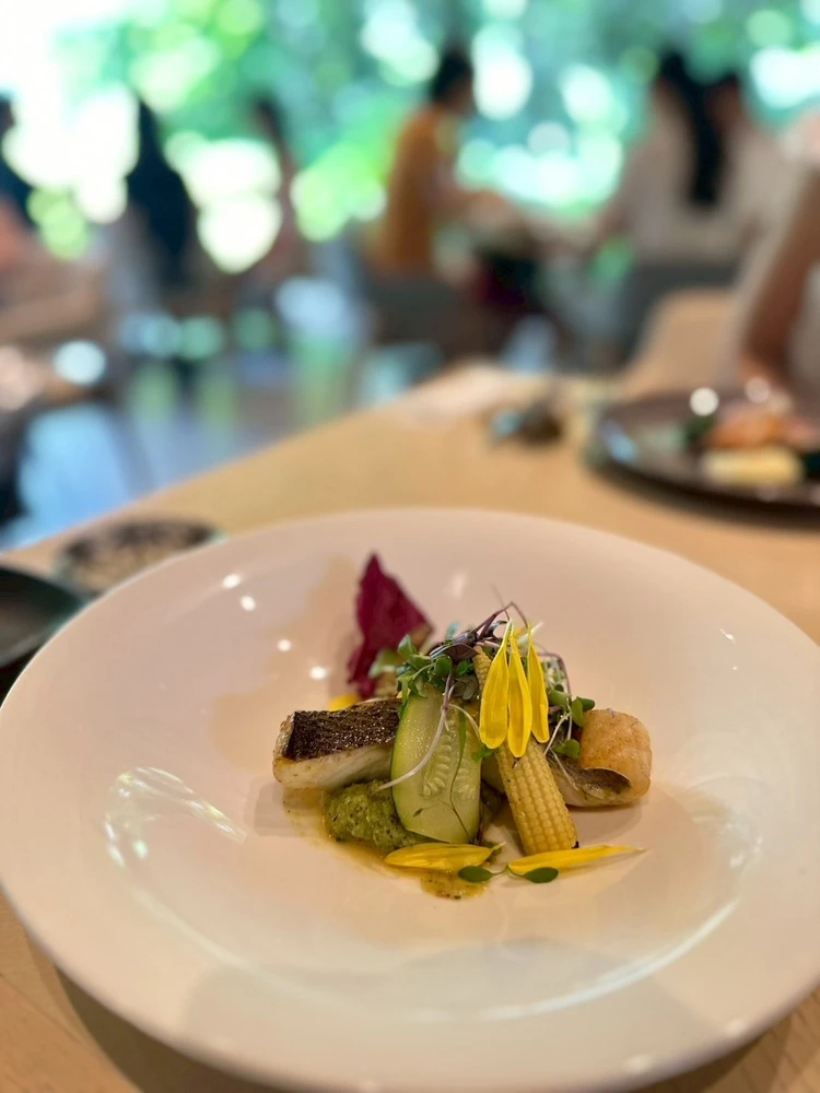 まるで軽井沢!都心の緑あふれるガーデンレストラン【TEIEN Restaurant comodo】_4