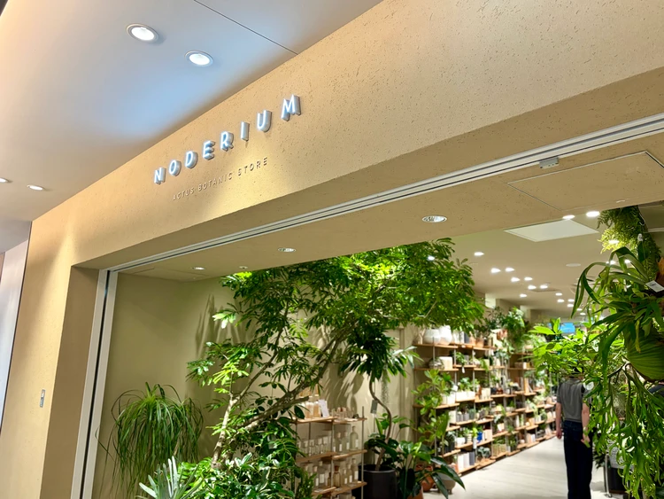 ACTUSが手がけるグリーンショップ「NODERIUM」