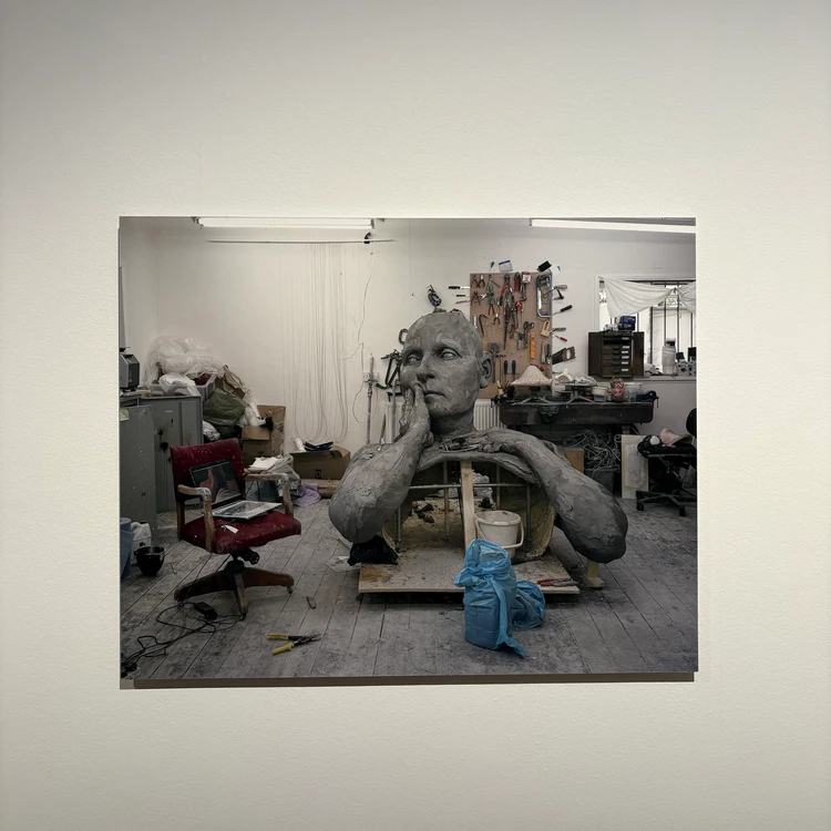 【六本木・森美術館】猛暑の日でも涼しくお出かけ|ロン・ミュエク展_4_1