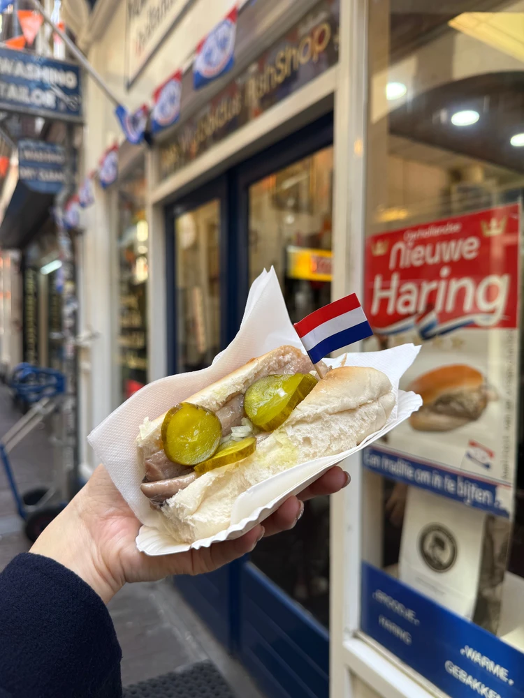 【初めてのオランダ旅】アムステルダムのおすすめグルメ5選！_3