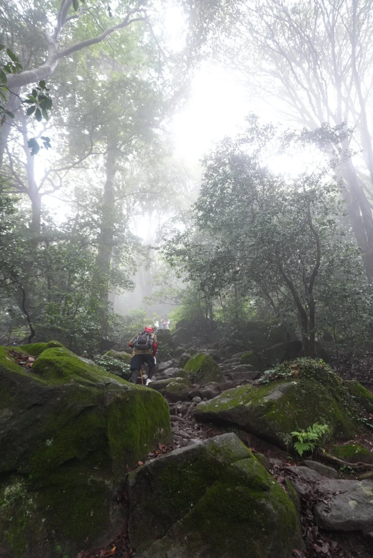 【筑波山登山】岩場だらけの中級コース体験記｜注意点・温泉情報あり_2_1