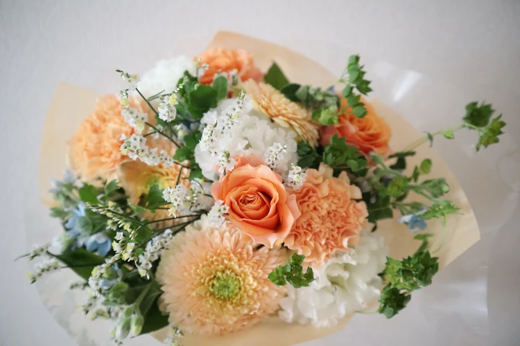 活動4年目の私が振り返り！【2025～2026スーパーバイラーズアンケート企画】_5