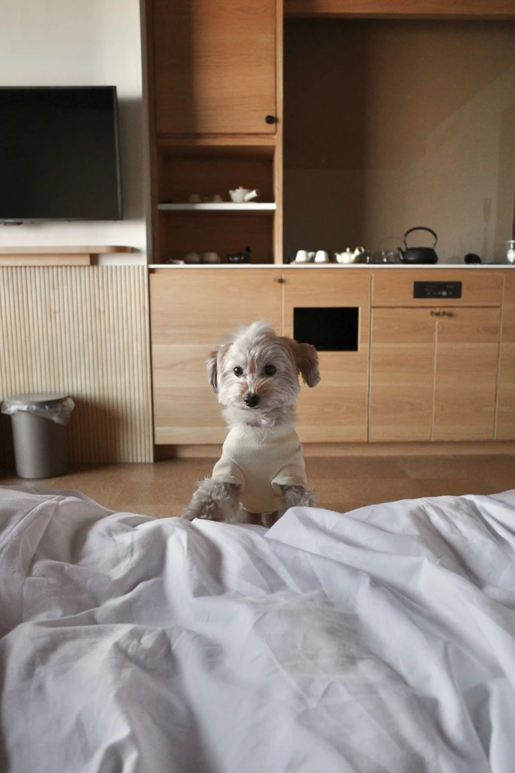 愛犬と泊まれる★子連れにもおすすめの宿① ~星野リゾート 界 遠州 ~_2