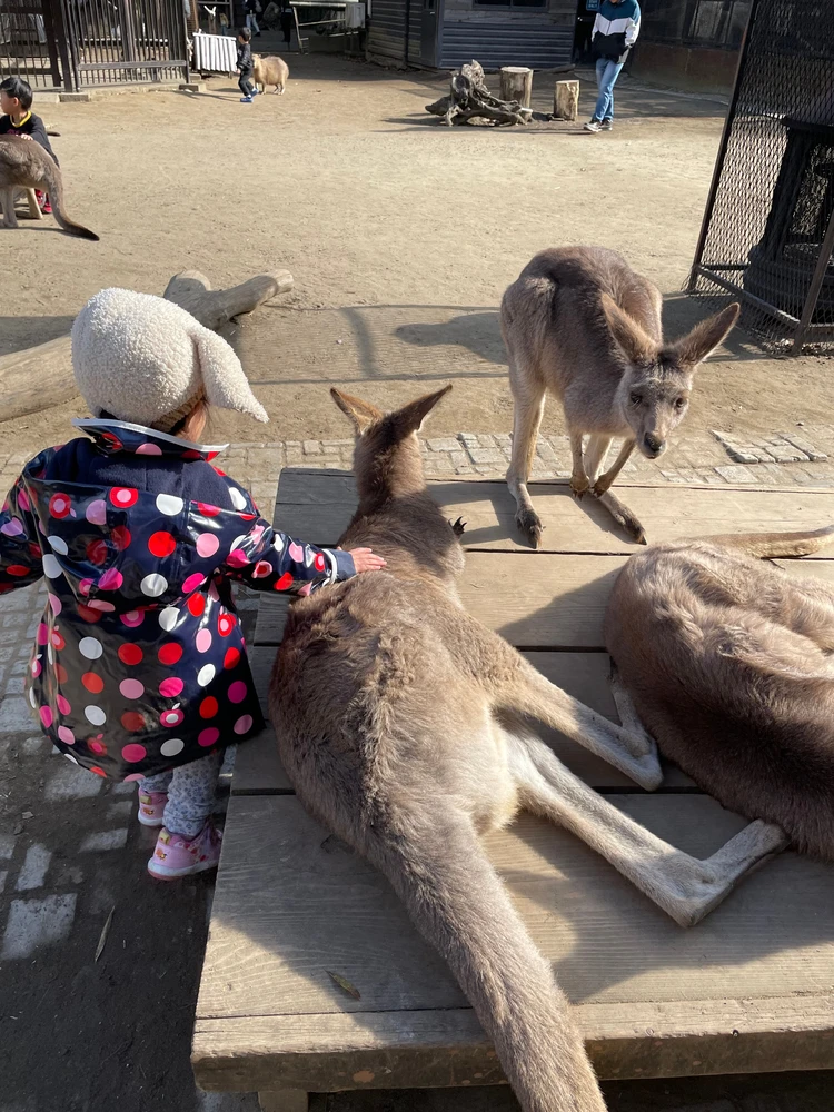 0距離で動物とふれあえる、“特別な1日”がここにあった_2