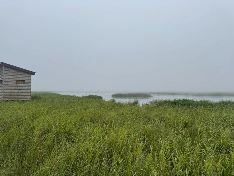 【北海道 道東エリア】網走・知床・弟子屈2泊3日絶景旅③摩周湖・硫黄山・屈斜路湖編_3