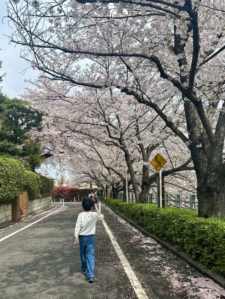 【田園調布】桜×電車の絶景とカフェ散歩🌸_1