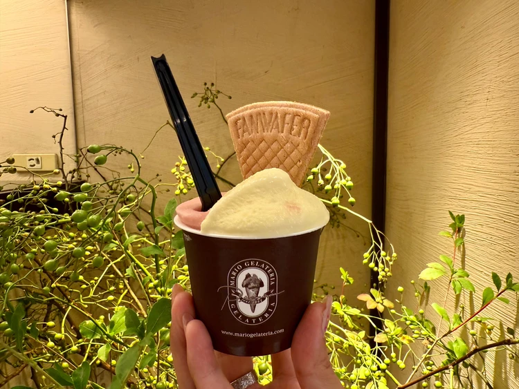 夏季限定フレーバー