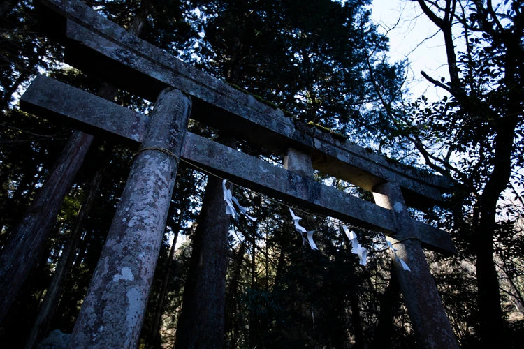 映画 近畿地方のある場所について 怪現象があったとされる鳥居の写真