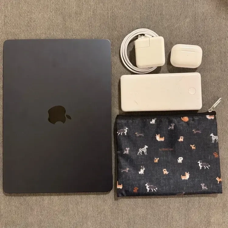 ワンコ柄ポーチ（大）