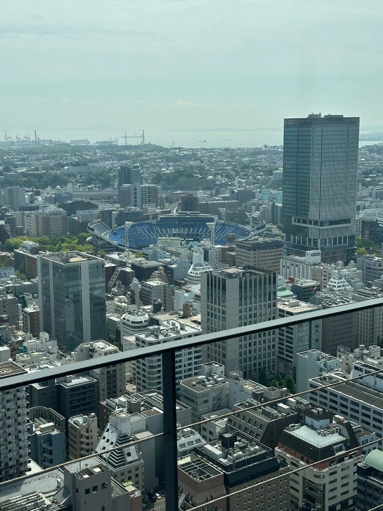 ハマスタ見える