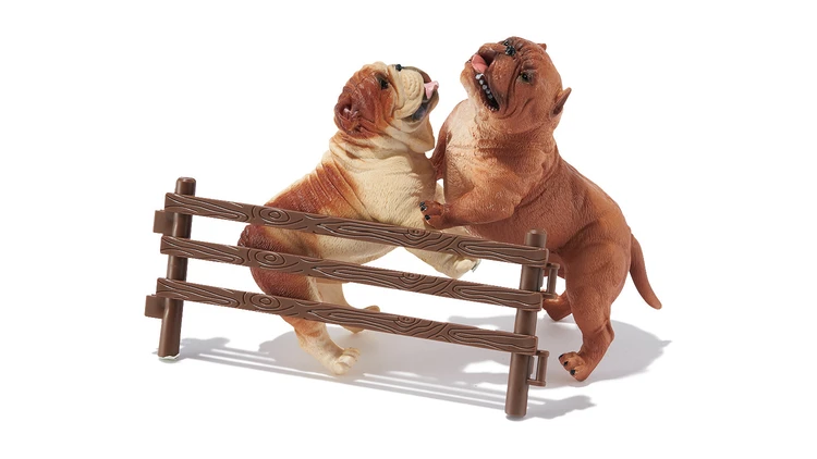 行きすぎたケアが肌ダメージにつながる「アグレッシブルドック」タイプにおすすめのスキンケア【タイプ別・敏感肌診断】