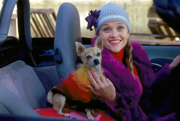 5月に観たい！新しい私に出会う、女性の心に響く「あきらめない」映画5選_4_2