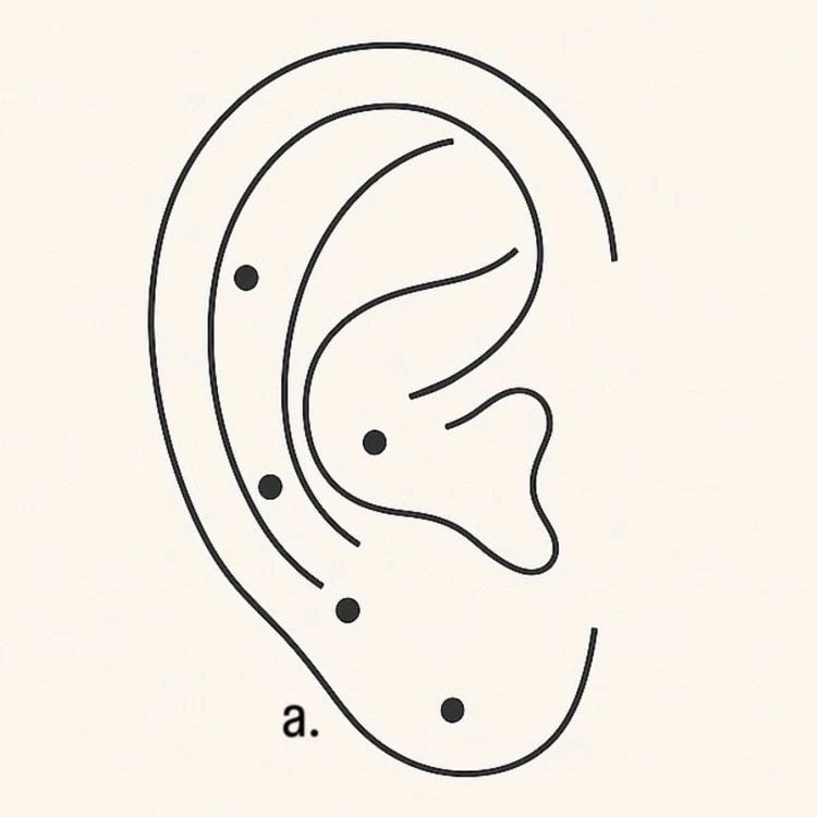 【フォトギャラリー】便秘の記事まとめ_0