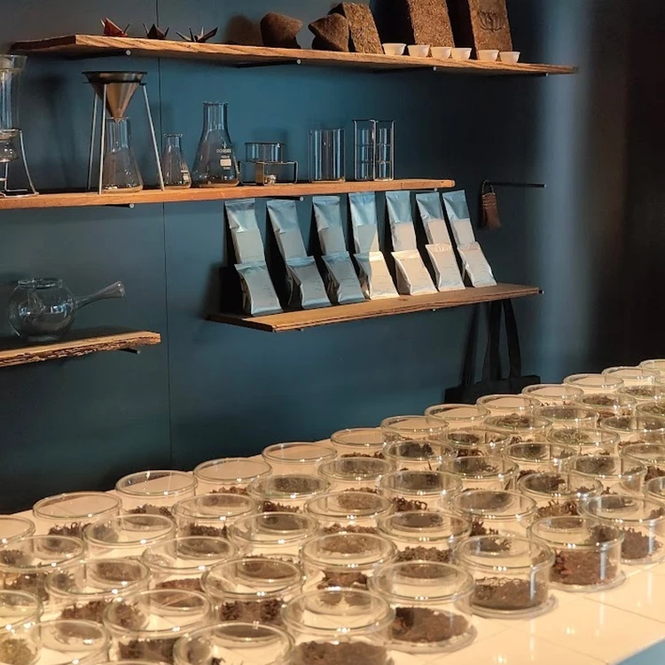 【写真】バイラーズおすすめの京都旅行_0