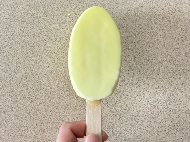 食後にぴったり♡さっぱり〆アイスの決定版#BAILAアイス部_4