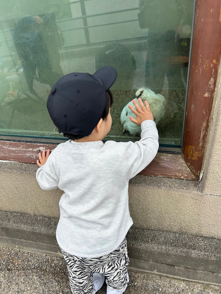 【子連れお出かけ】in東京🗼定番の上野動物園🐘_2_1