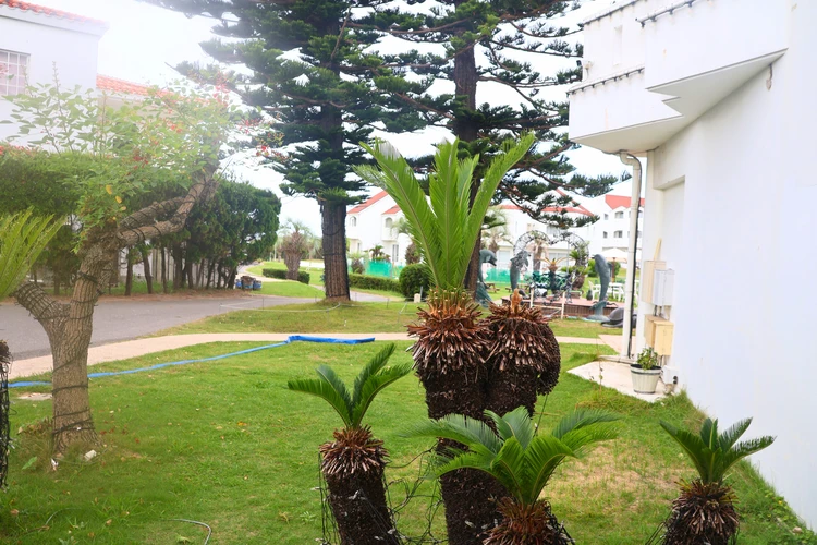 何もしない贅沢。幻想的イルミの「館山リゾートホテル」でリセット旅 #旅行部_9