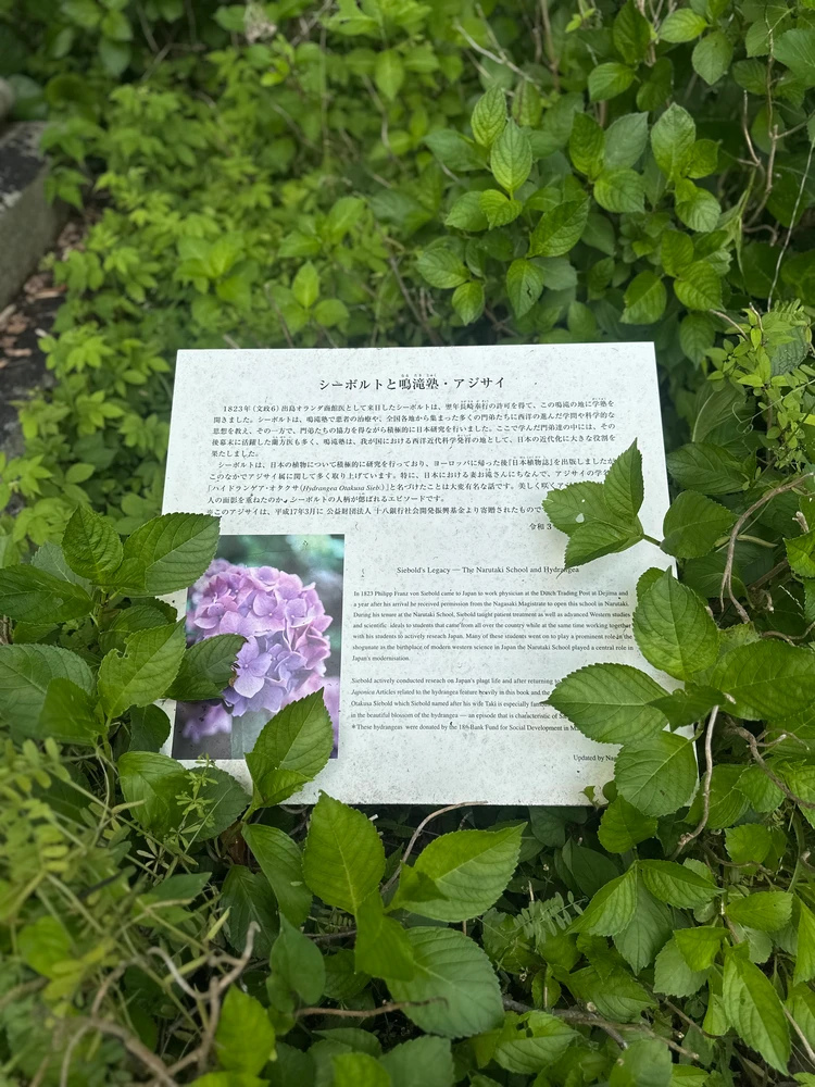 【北九州旅行４泊５日】ーin長崎ー_11_1