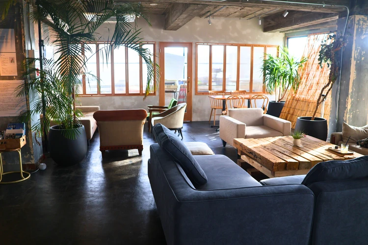 【館山】都内から２時間！ 本×カフェでゆっくり時間２選【グドール女史追悼】_6