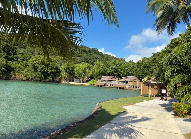 【パラオ旅行②】パラオパシフィックリゾート(PPR)滞在記🏝️_2