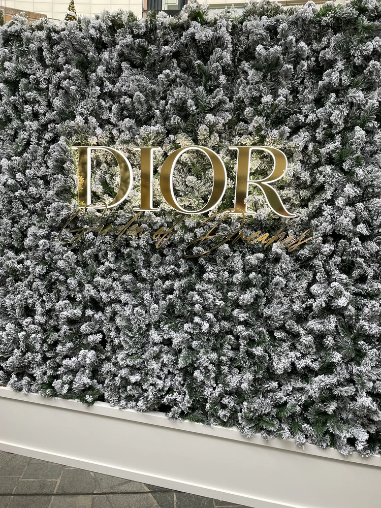 DIOR POP-UP 迷路ブース ロゴ