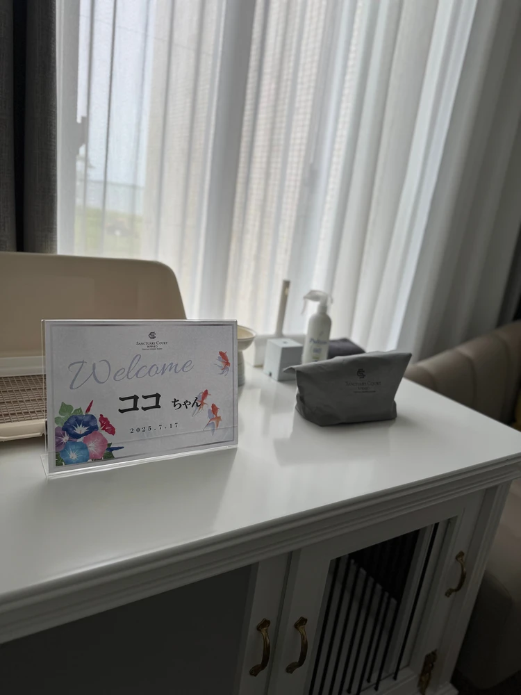 【愛犬と泊まれるお宿】宿泊レポinサンクチュアリコート琵琶湖_4