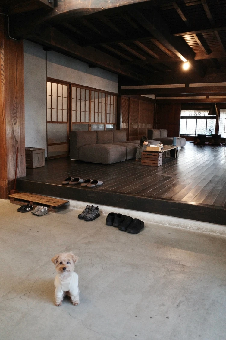 愛犬と泊まれる★子連れにもおすすめの宿③山梨 ~古民家宿るうふ~ #旅行部_1