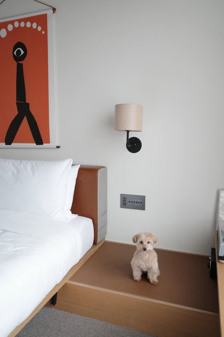 【京都ペット可ホテル】Ace Hotel Kyoto宿泊記｜犬連れ旅行におすすめの理由_2
