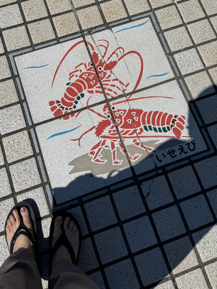 【千葉・勝浦】車無しでもOK！都内から日帰りお出かけプラン【シルバーウィークにも◎】_3_2