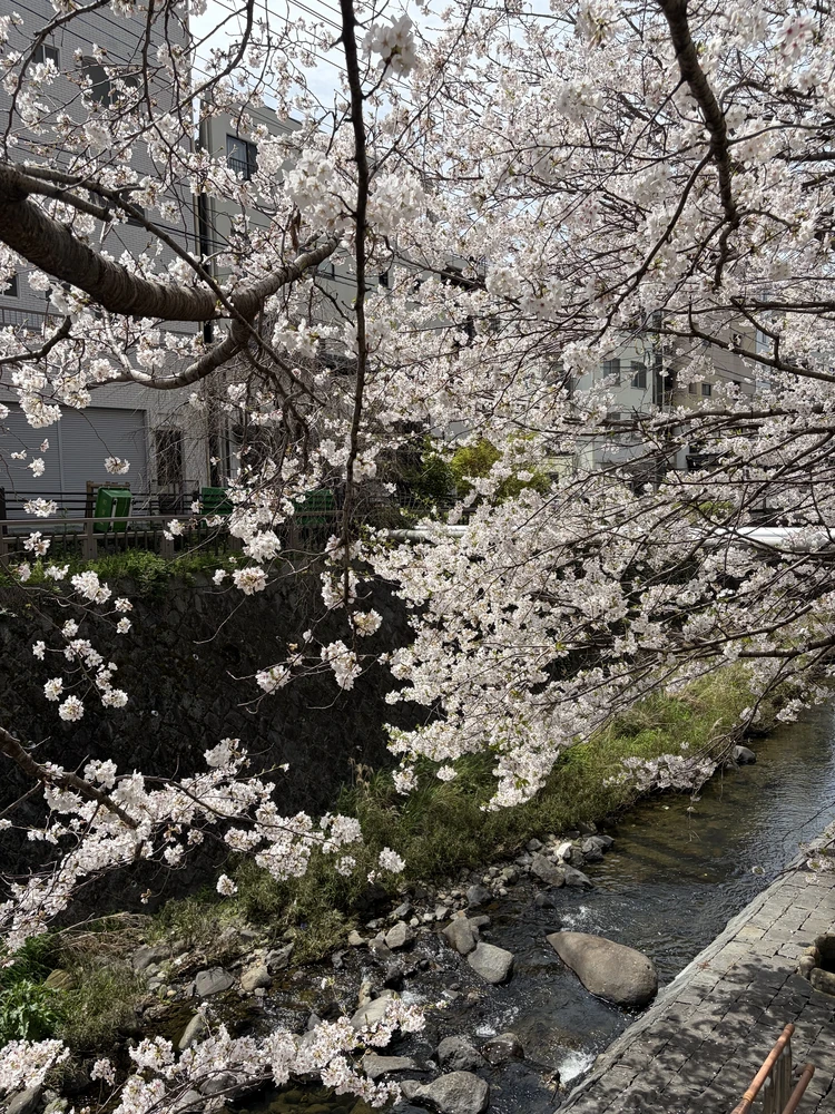 「何者でもない時間」が未来を作る。「リミナリティ」とは？_2